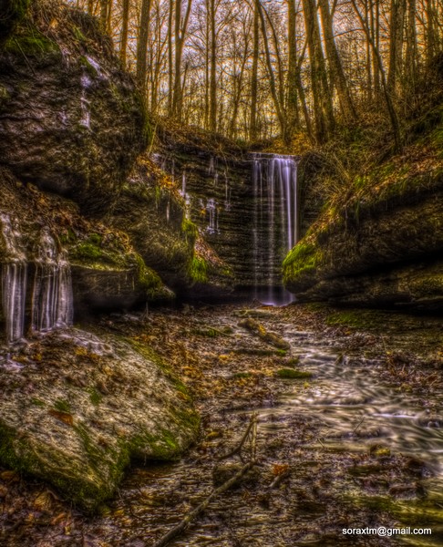 the cleft