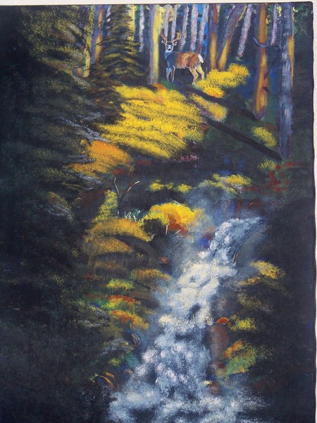 Spring Runoff
