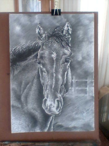 caballo 7