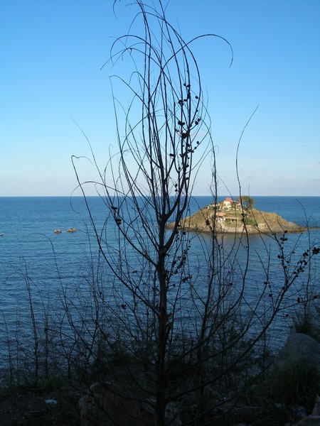 solitude