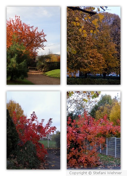 Fall just around the corner