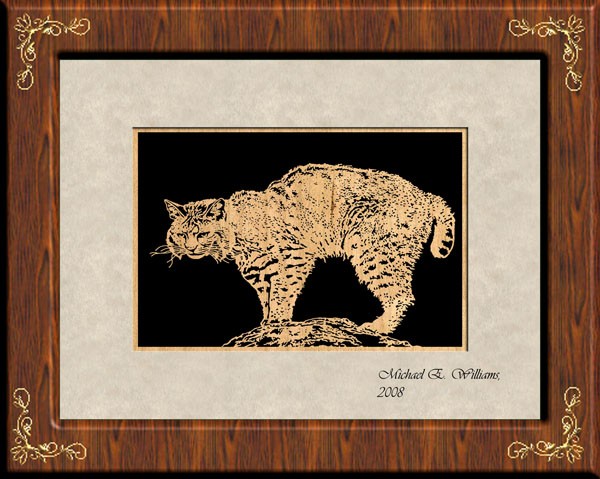 Mississippi Bobcat