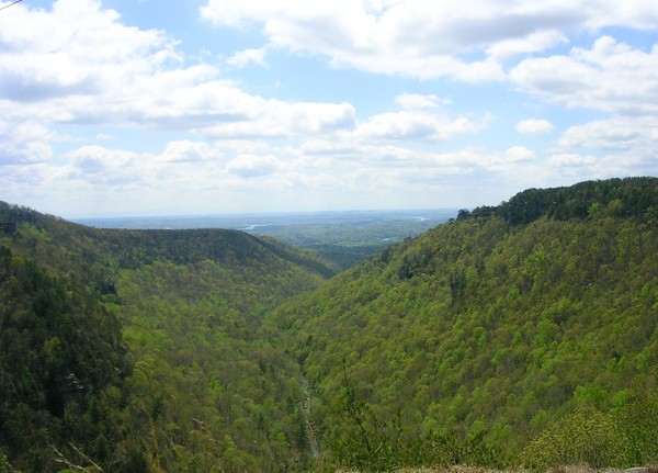 Soddy Gulf
