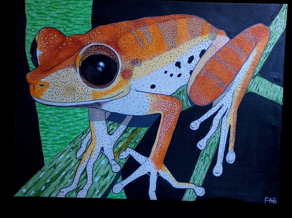 spotted tree frog