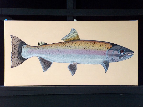 rainbow trout