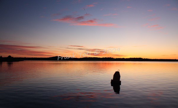 Bouy on salt pond
