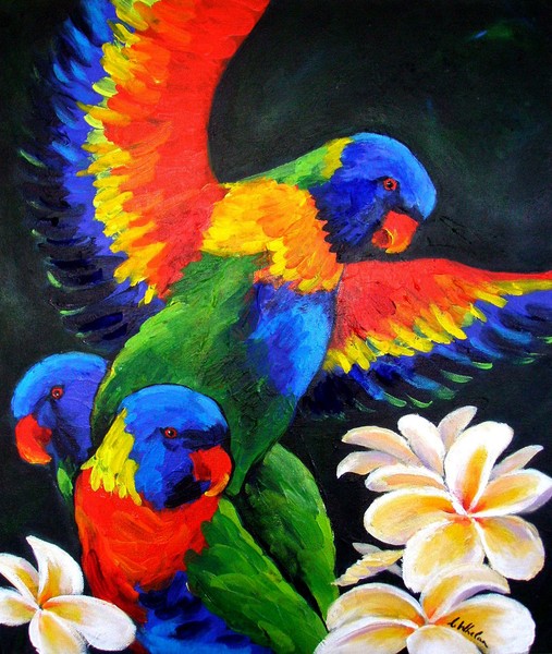 Rainbow Lorikeets