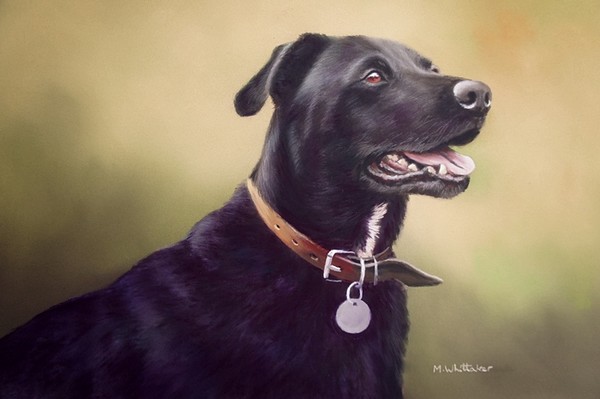 PASTEL PAINTING OF MAX