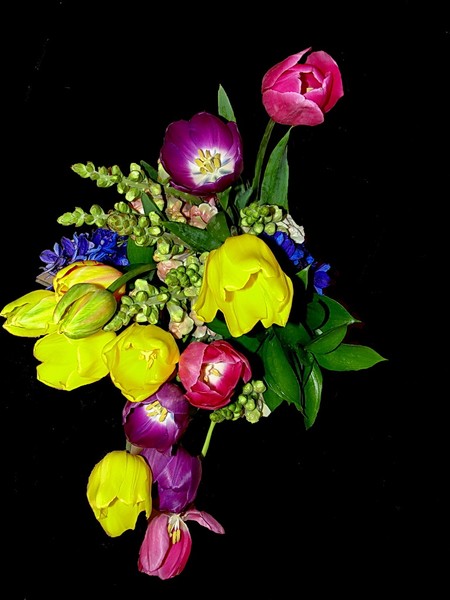 Belgium Spring Colors