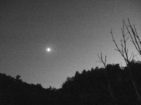 Summer Moon