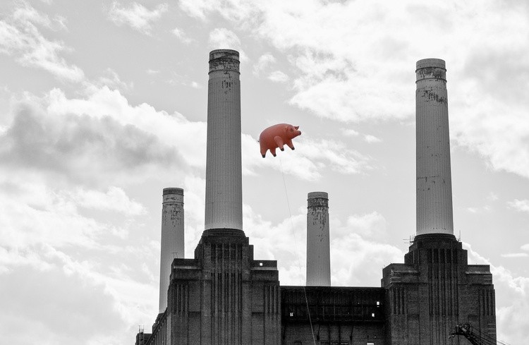 Pink Floyd Pig at Battersea Power Station