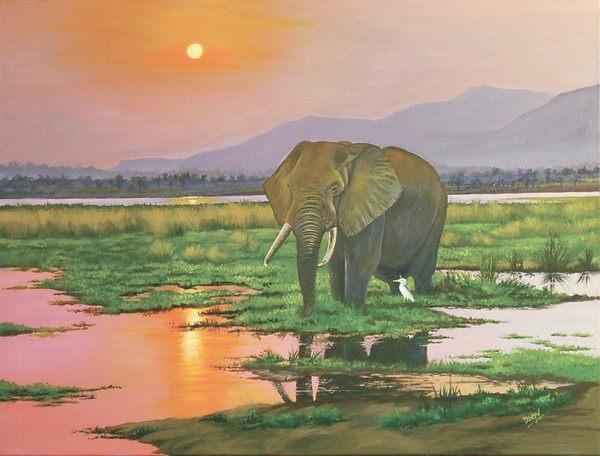 African Bull Elephant