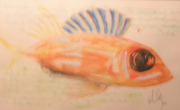 fish-WATERCOLORS,3