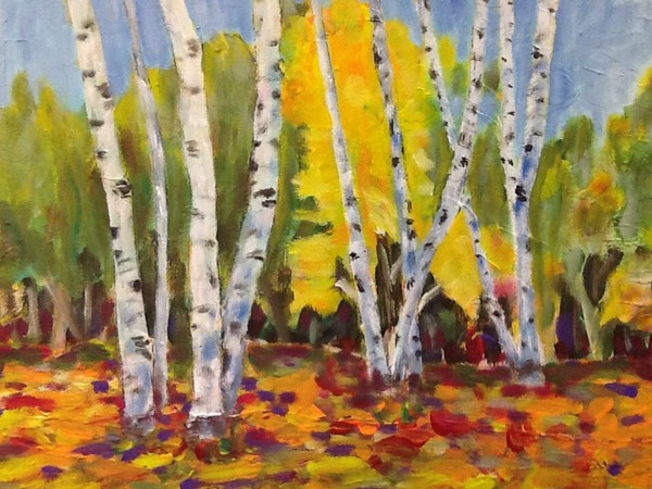 Birch Tree on Fall