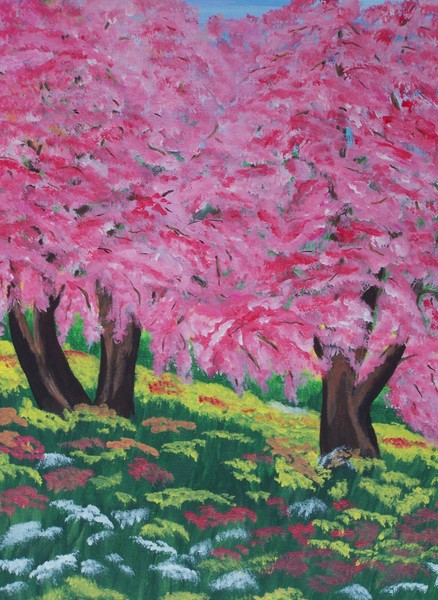 3 Cherry trees 