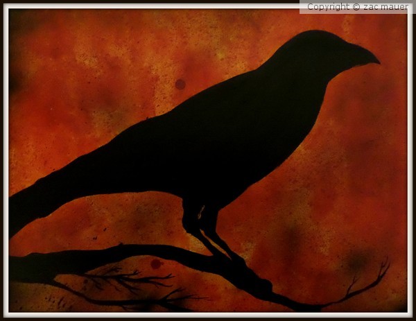 crow