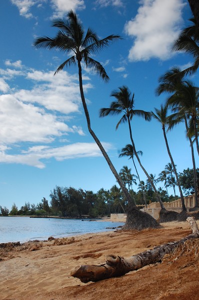 North shore Hawaii
