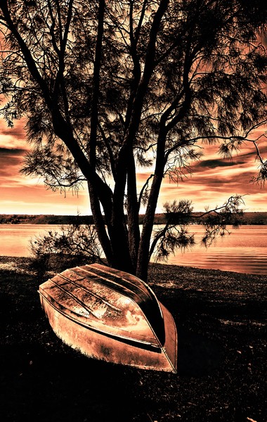 The Boat