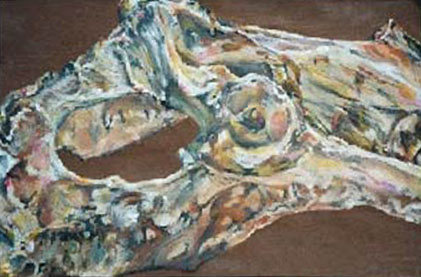 Cow Hipbone