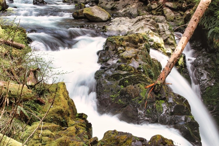 Sol Duc Falls