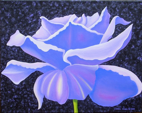 Lavender Rose