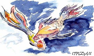 Big Fish 2