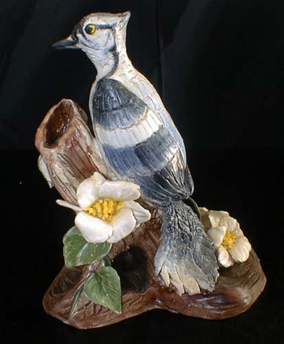 Blue Jay