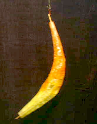 CF Final