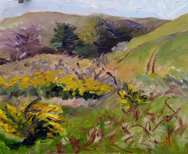 Walker Creek Frontage