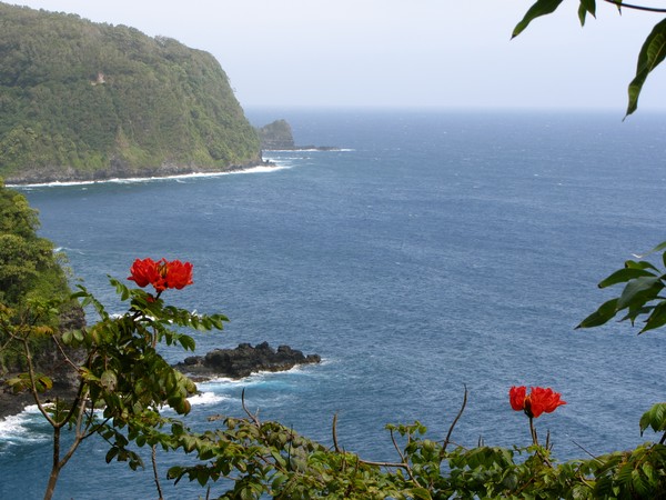 Paradise