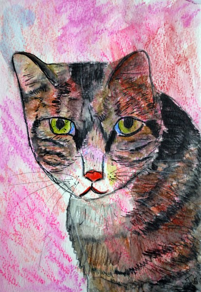 GINGER THE CAT