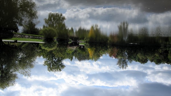 Reflections