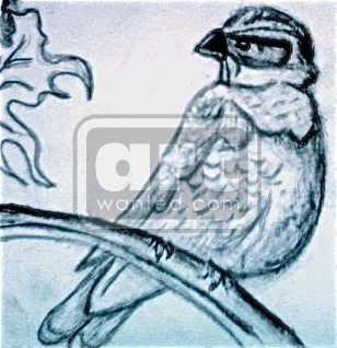 black cap chickadee