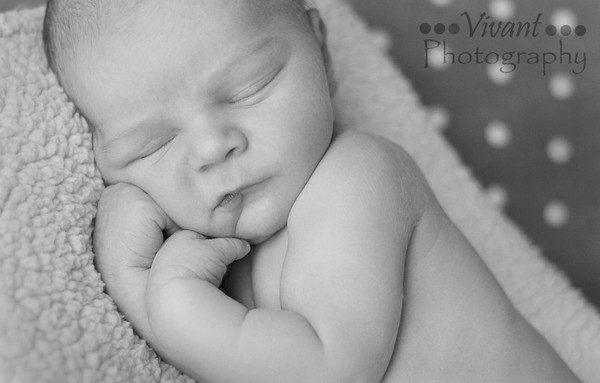 C. Newborn Shoot