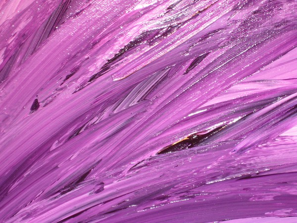 Purple Feathers