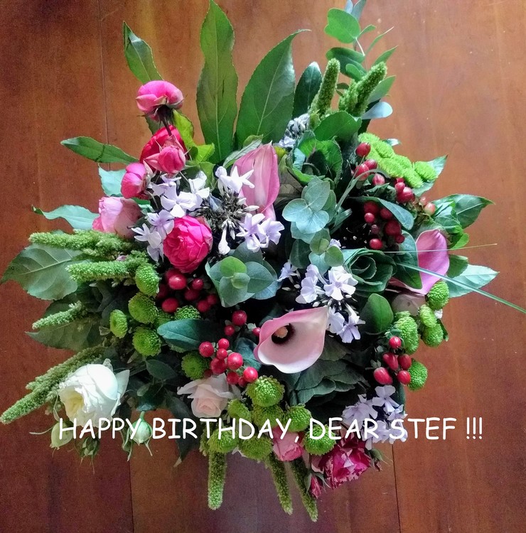 HAPPY BIRTHDAY, DEAR STEF !!!!!!!!!