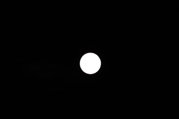 Blue Moon2