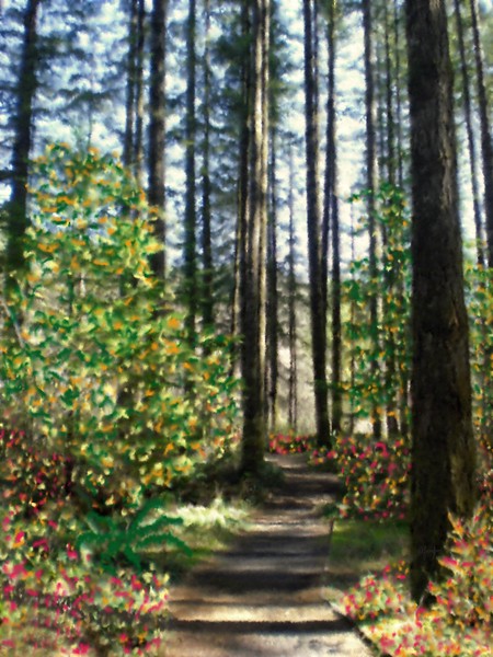 The Path