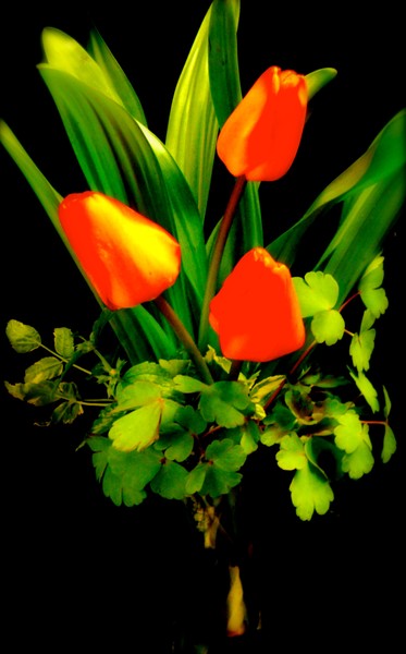spring time 