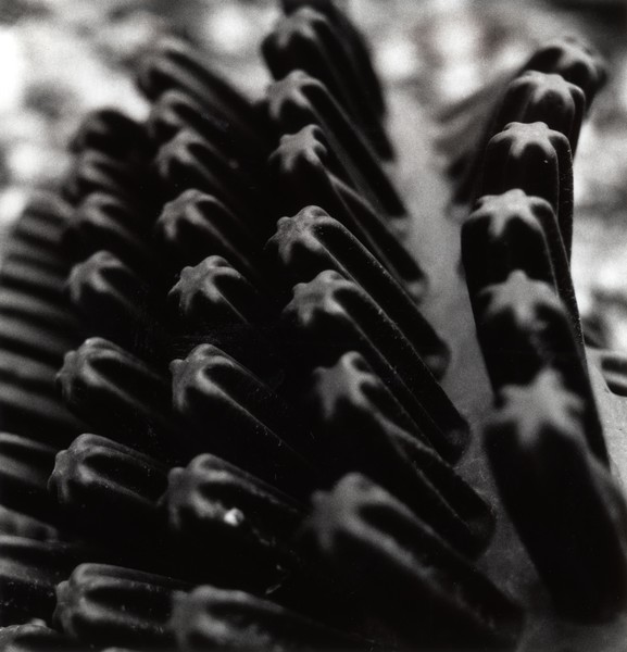 Rubber nubs