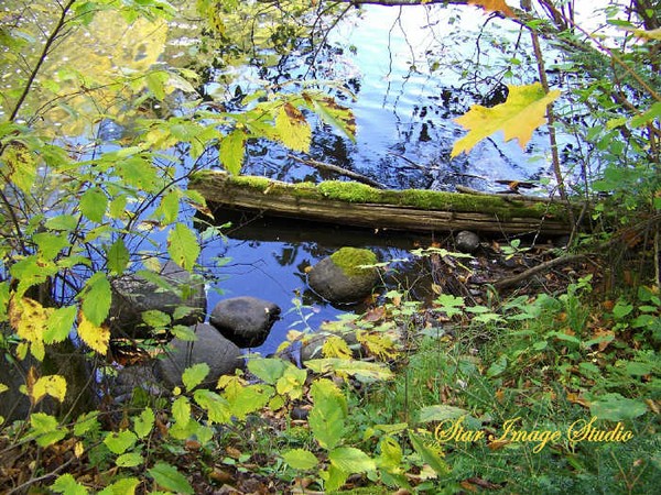  A BEND IN THE RIVER