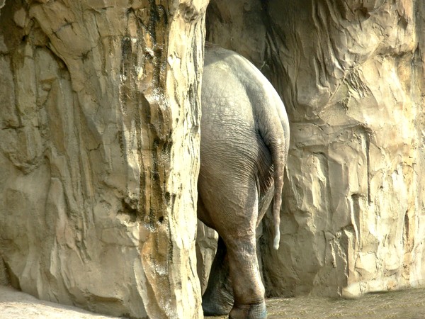 Timeout