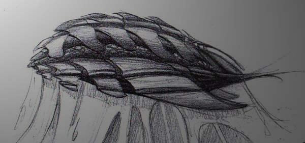 Parasite1