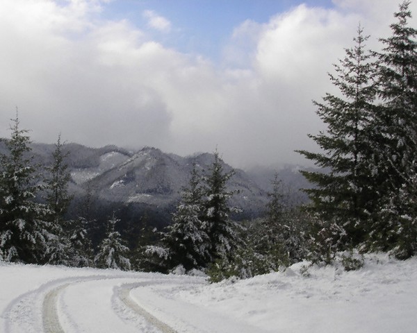 Road to the Olympics