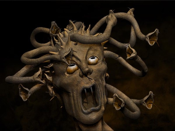 Medusa looks up