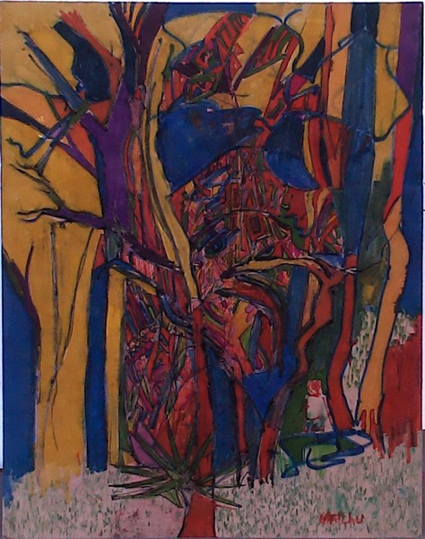 dutchmans view of a forest