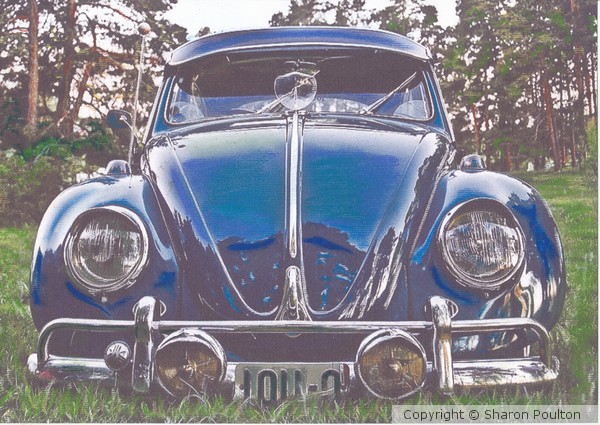 Bug Mania 