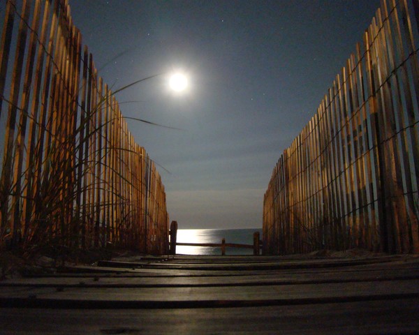 Ocean Moonrise 3220 11x14 Print