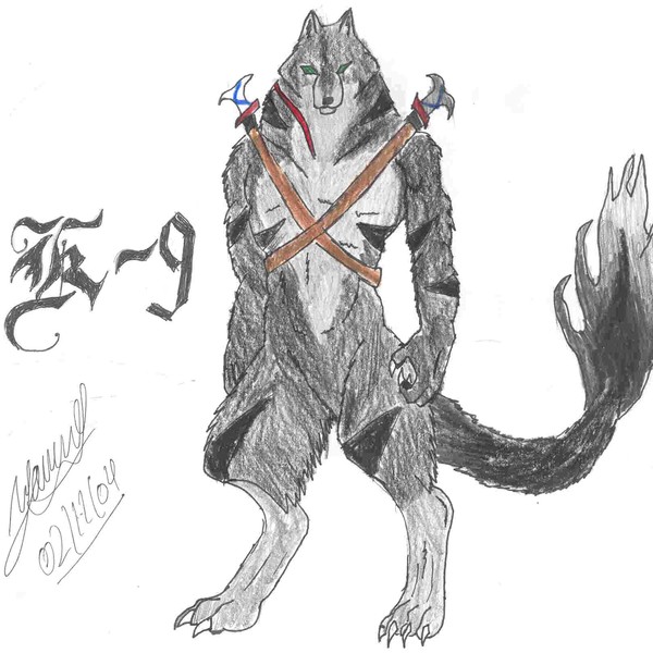 k-9