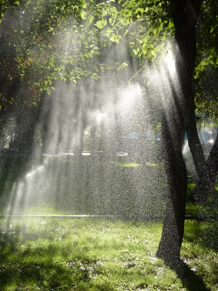 Brighter Summer Day
